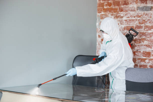 Why You Should Choose Our Mold Remediation Services in Windber, PA